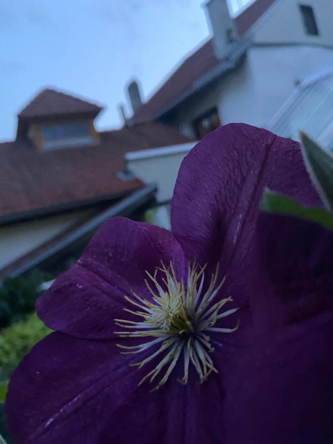 Gasthof Zum Mohrn Oberwoelz Stadt Экстерьер фото
